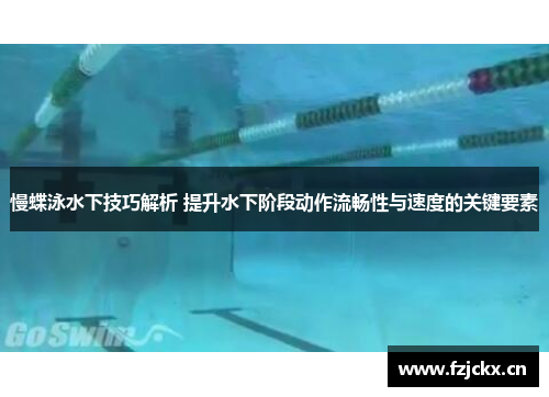 慢蝶泳水下技巧解析 提升水下阶段动作流畅性与速度的关键要素