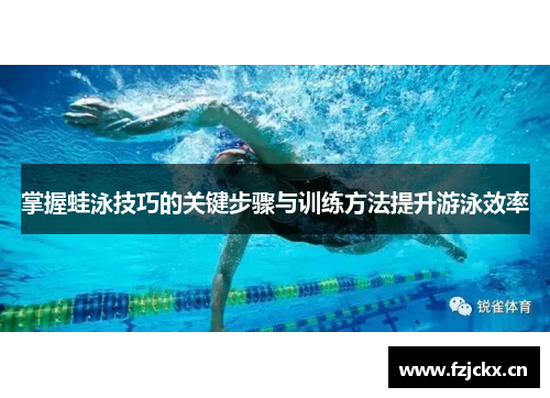掌握蛙泳技巧的关键步骤与训练方法提升游泳效率