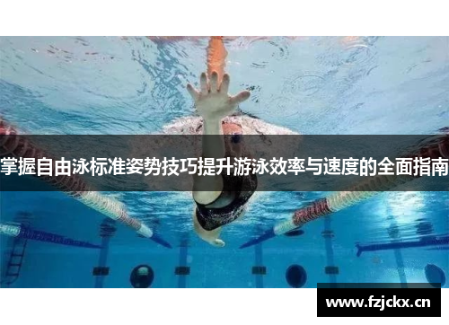 掌握自由泳标准姿势技巧提升游泳效率与速度的全面指南