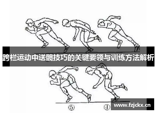 跨栏运动中送髋技巧的关键要领与训练方法解析